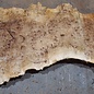 Mappa, poplar burl table top, approx. 2050 x 780/430 x 65 mm, 13572