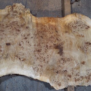 Mappa, poplar burl table top, approx. 2050 x 780/430 x 65 mm, 13572