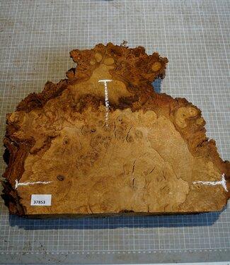 Eiche Maser, ca. 400 x 290 x 52 mm, 3,7 kg