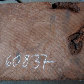 Redwood burl, approx. 900 x 560 x 52 mm, 60837