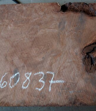 Redwood Maser, ca. 900 x 560 x 52 mm, 60837