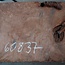 Redwood burl, approx. 900 x 560 x 52 mm, 60837