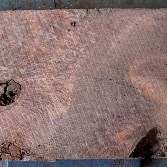 Redwood Maser, ca. 980 x 440 x 65 mm, 60814