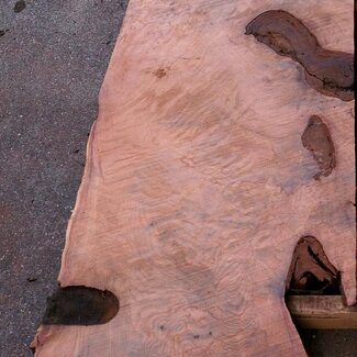 Redwood Burl tabletop, approx. 1850 x 650 x 55 mm, 11458 b