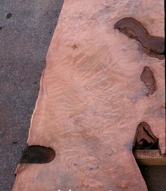 Redwood Burl tabletop, approx. 1850 x 650 x 55 mm, 11458 b