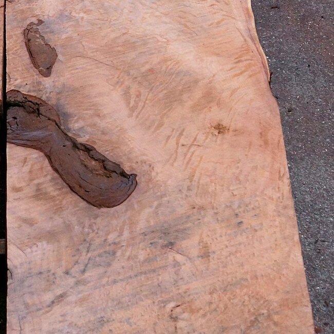 Redwood Burl tabletop, approx. 1850 x 650 x 55 mm, 11458 b