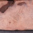 Redwood Burl tabletop, approx. 1850 x 650 x 55 mm, 11458 b