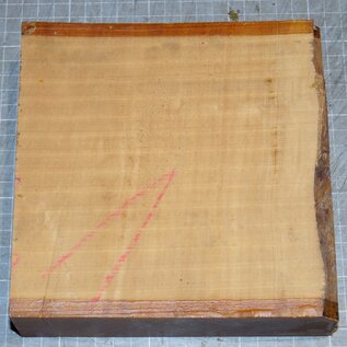 Appletree, approx. 170 x 170 x 46 mm