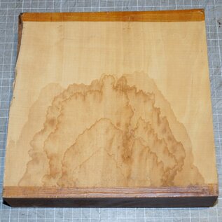 Appletree, approx. 220 x 220 x 50 mm