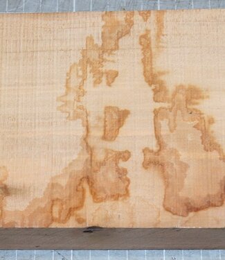 Apfelbaum, ca. 300 x 115 x 49 mm