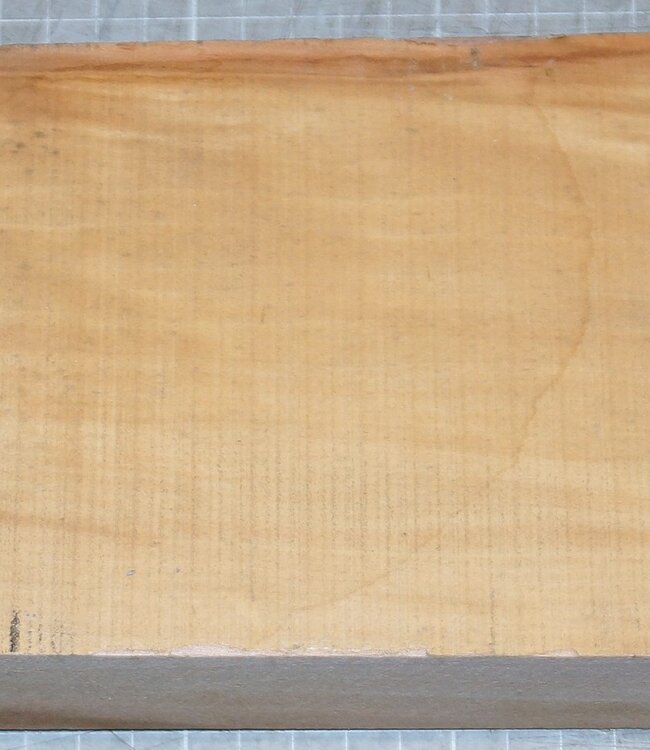 Appletree, approx. 300 x 115 x 49 mm