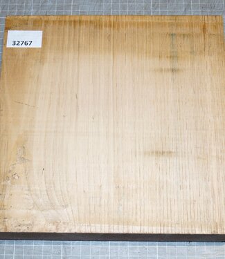 Kastanie, Marone, ca. 240 x 240 x 51 mm