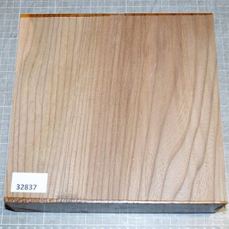 Rüster, ca. 230 x 230 x 62 mm, 2,6 kg