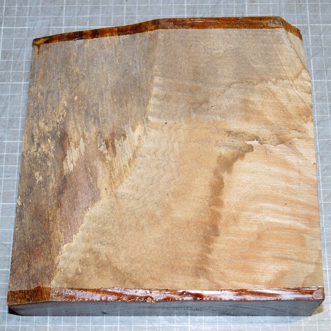 Rüster, ca. 200 x 200 x 63 mm, 1,6 kg