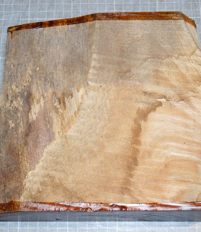 Dutch elm, approx. 200 x 200 x 63 mm, 1,6 kg