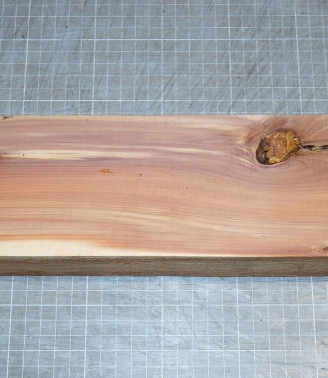 Florida Zeder, ca. 335 x 93 x 52 mm, 0,9 kg