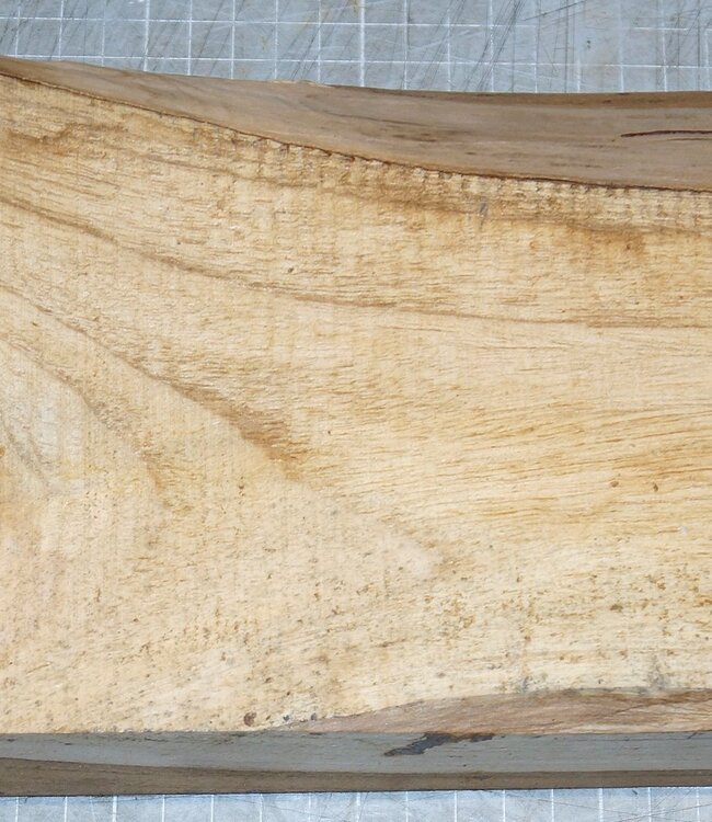 Teak (Plantage), ca. 280 x 150 x 47 mm, 1,4 kg