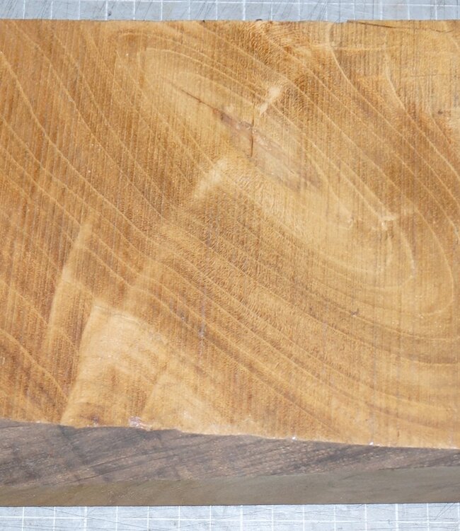 Teak (Plantage), ca. 265 x 145 x 51 mm, 1,7 kg