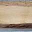 Nussbaum europ., ca. 300 x 110 x 62 mm, 1,3 kg