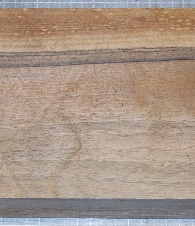 Nussbaum europ., ca. 300 x 150 x 55 mm, 1,6 kg