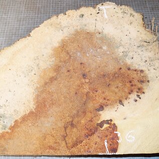 Amboina Maser, ca. 540 x 360 x 90-25 mm, 6 kg