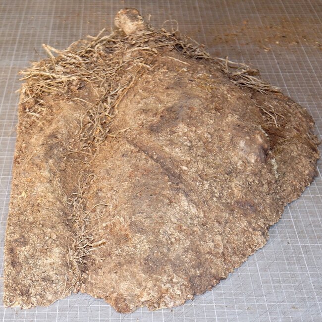 Amboina Maser, ca. 540 x 360 x 90-25 mm, 6 kg