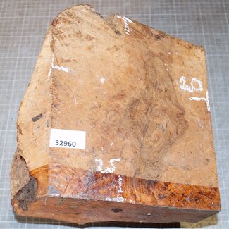 Caniste Burl, approx. 250 x 200 x 150-60 mm, 6,9 kg