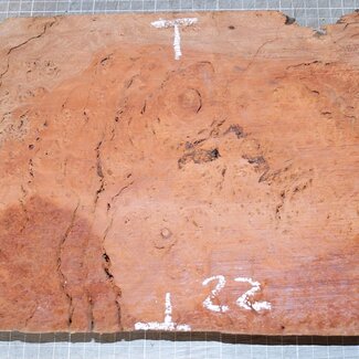 Jarrah Burl, approx. 430 x 220 x 50 mm, 3,5 kg