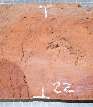 Jarrah Burl, approx. 430 x 220 x 50 mm, 3,5 kg