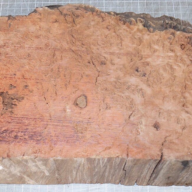 Jarrah Burl, approx. 430 x 220 x 50 mm, 3,5 kg