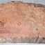 Jarrah Burl, approx. 430 x 220 x 50 mm, 3,5 kg