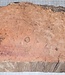Jarrah Burl, approx. 430 x 220 x 50 mm, 3,5 kg