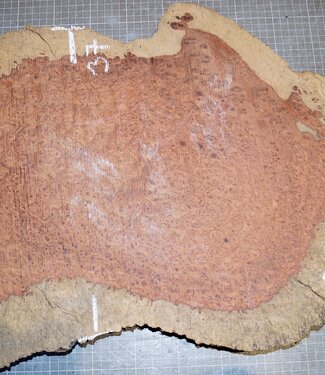 Amboyna burl, approx. 730 x 370 x 50 mm, 7,9 kg