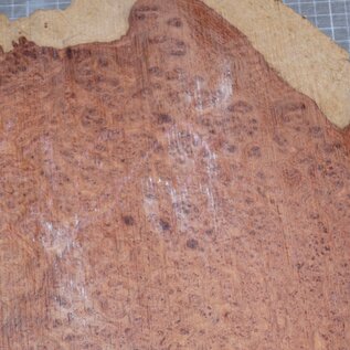 Amboina Maser, ca. 730 x 370 x 50 mm, 7,9 kg