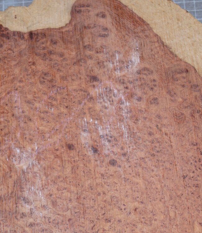 Amboina Maser, ca. 730 x 370 x 50 mm, 7,9 kg