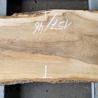 Ash fiddleback, approx. 1570 x 460 x 52mm, 25 kg, 13108