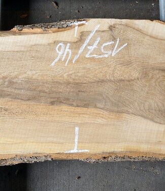 Ash fiddleback, approx. 2600 (2200) x 430 (920/460) x 52mm, 45 kg, 13087