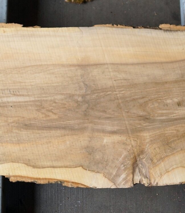 Esche Tischplatte, ca. 1570 x 460 x 52mm, 25 kg, 13108