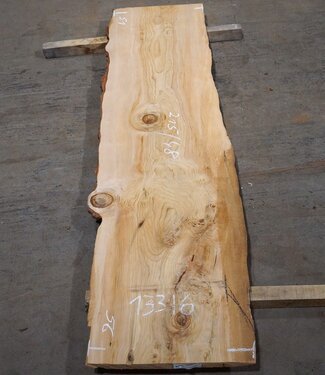 Libanon Zeder Tischplatte, ca. 2150 x 480 x 45 mm, 13316