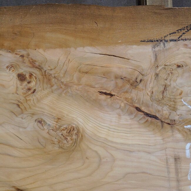 Libanon Zeder Tischplatte, ca. 2150 x 480 x 45 mm, 13316