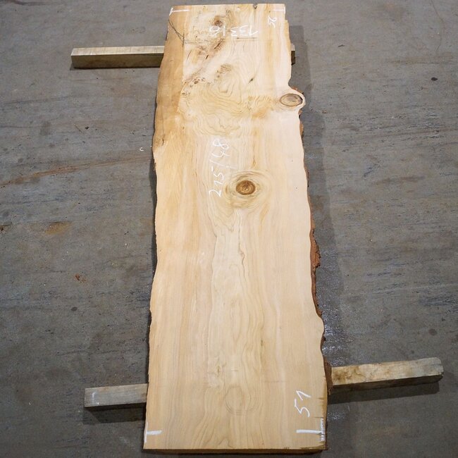 Libanon Zeder Tischplatte, ca. 2150 x 480 x 45 mm, 13316