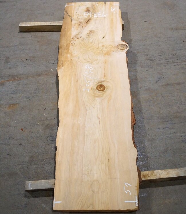 Libanon Zeder Tischplatte, ca. 2150 x 480 x 45 mm, 13316