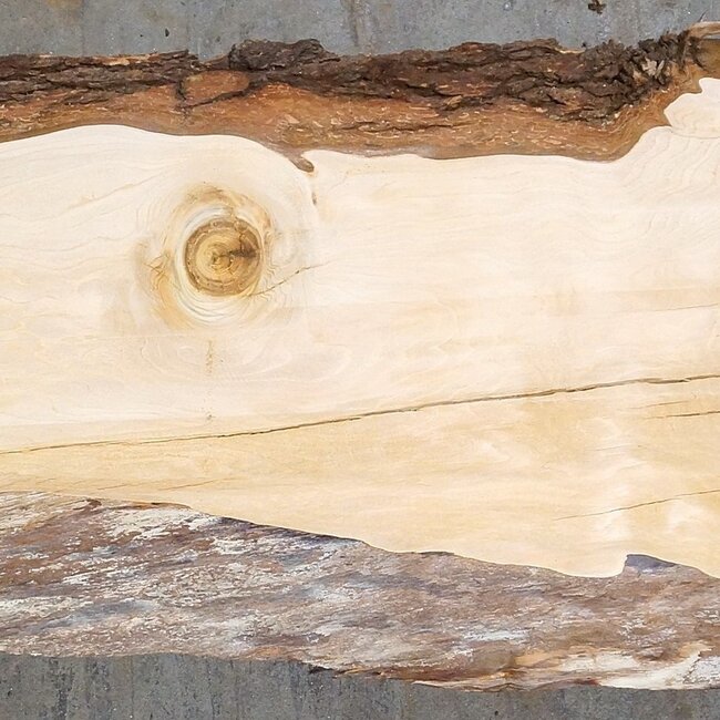 Libanon Zeder Tischplatte, ca. 2150 x 480 x 45 mm, 13316