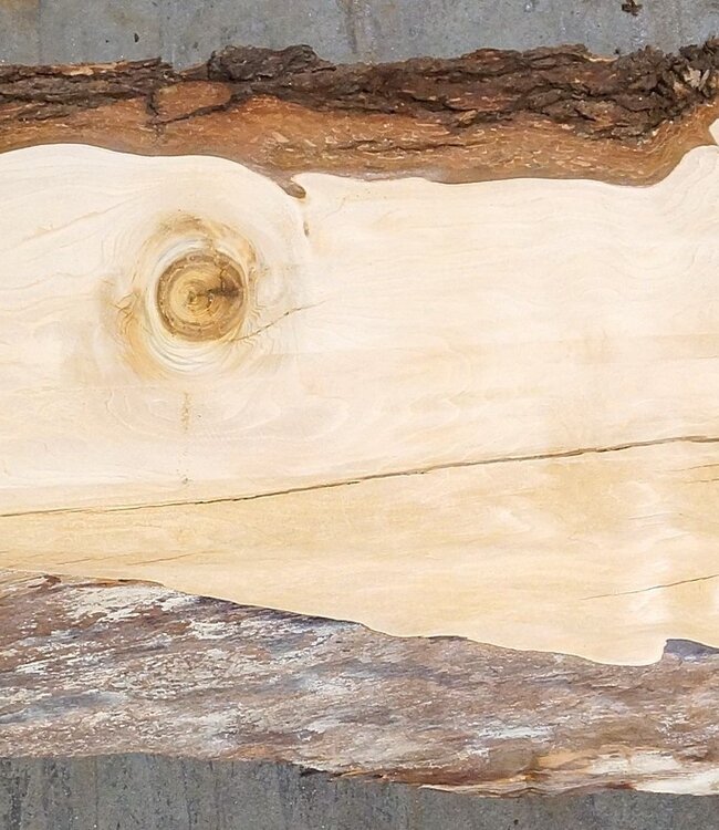 Libanon Zeder Tischplatte, ca. 2150 x 480 x 45 mm, 13316