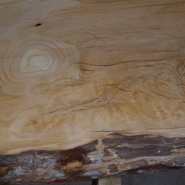 Lebanon Cedar table top, approx. 2150 x 480 x 45 mm, 13316