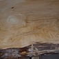 Lebanon Cedar table top, approx. 2150 x 480 x 45 mm, 13316