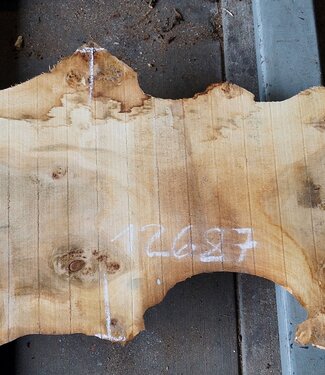 Poplar burl, approx. 1370 x 530 x 52 mm, 12687