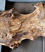 Poplar burl, approx. 1370 x 530 x 52 mm, 12687