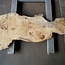 Poplar burl, Mappa slab, approx. 1500 x 660 x 55 mm, 12756