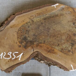 Walnut slab, approx. 790 x 530 x 52 mm, 12951